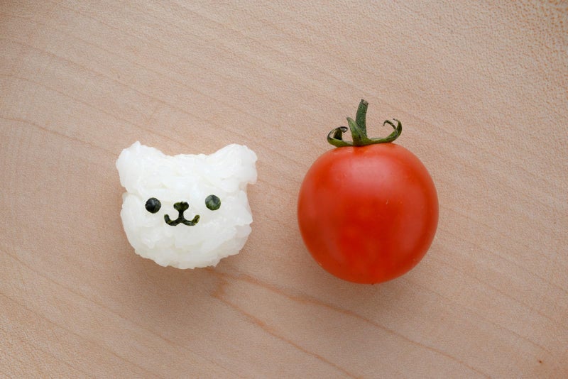 Arnest My Form Rice Press Mold 2pcs (Cat, Panda) & Food Press Cutter for Decoration (76924) - Image 2